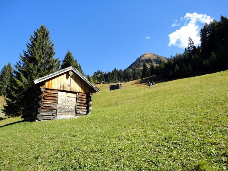 Hotel Ehrwalderhof المظهر الخارجي الصورة