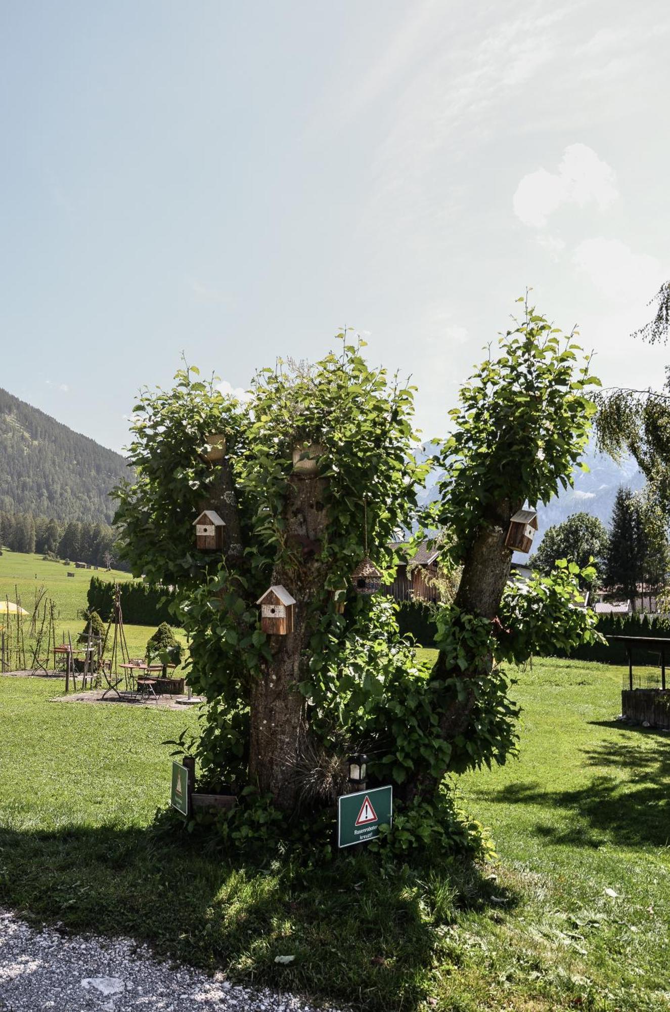 Hotel Ehrwalderhof المظهر الخارجي الصورة